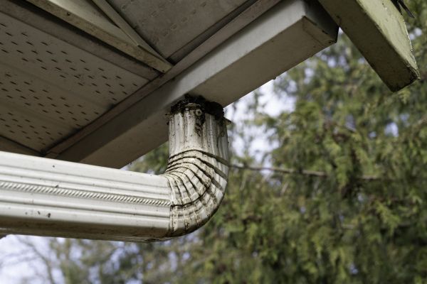 Cost of Roof Drain Replacement in Aiken