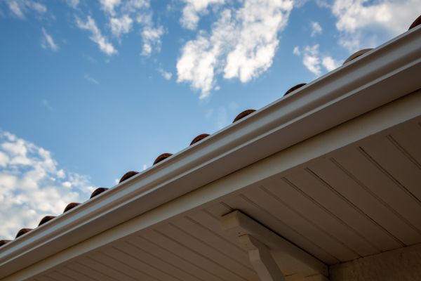 Cost of K Style Gutter Installation in Aiken